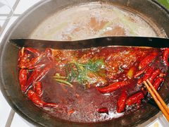 -朱光玉火锅馆(正弘城店)