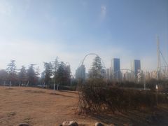 -合肥滨湖国家森林公园