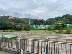 -深圳野生动物园