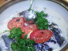 -全乐鱼馆·淳牌有机鱼直营店