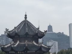 -但家香酥鸭(小十字店)