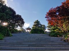 -大兴滨河森林公园