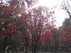 -汉水公园