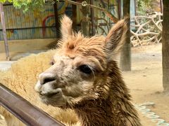 -杭州野生动物世界