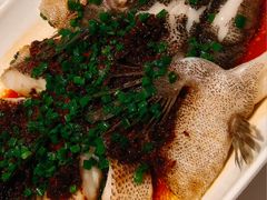 -南麓·浙里(外滩店)