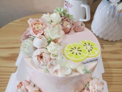 -Dark Horse·黑马蛋糕·低脂·低糖淡奶(金匙望湖大厦店)