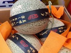 美夕蜜瓜（件）-水果天空(东葛店)