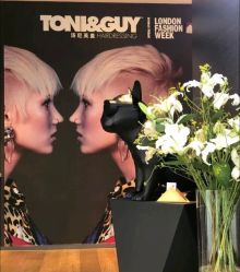 -TONI&GUY