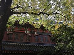 -灵谷景区