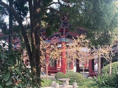 -华清宫景区