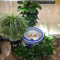 -芳琪造型