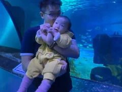 -泉城欧乐堡海洋极地世界