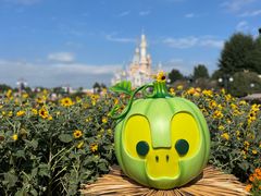 -上海迪士尼度假区