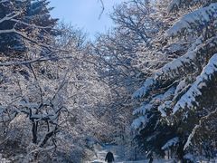 -长春市南湖公园