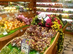 -百果园(愉景南苑店)