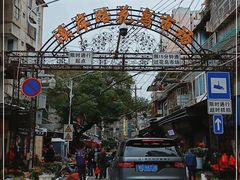 -溪岸路花鸟市场