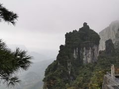 -蝶舞清江·恩施云顶景区(黄鹤峰林)