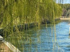 -阳澄湖半岛旅游度假区