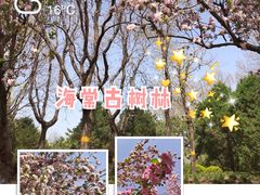 -海棠花溪(元大都城垣遗址公园)