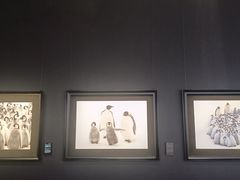 -罗红摄影艺术馆