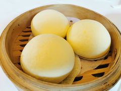-金汇酒楼(中山东区店)