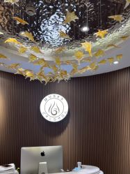 -MUSES专业脱毛比基尼サロン日式连锁
