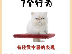 -博特宠物医院24h犬猫全科.骨科·异宠
