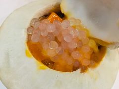 双层椰子冻-糖潮糖水铺(省府店)