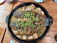 -老板恋上鱼(恒隆广场店)