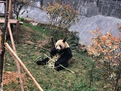 -云南野生动物园