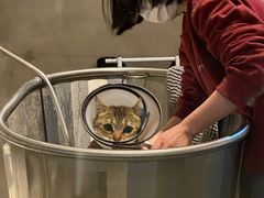 -PETKIT 小佩宠物·低压洗护·美容·寄养(安远店)