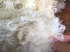 -可伦宾野生动物保护区