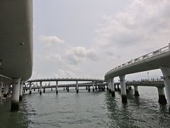-演武大桥观景平台