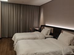 -汉庭(合肥火车南站北广场店)