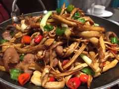 茶树菇炒猪舌-金龙寨(解西店)