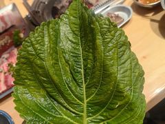 -麻蒲碳烤肉(嘉禾东平地铁站19号店)