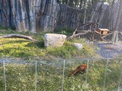 -武汉动物园