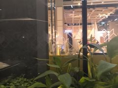 -Larp Silom 3