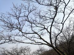 -山王坪喀斯特国家生态公园