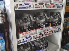 -70cat德文卷毛猫·缅因猫纯种猫舍