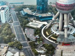 -金轩中餐厅 Jin Xuan(浦东丽思卡尔顿酒店)
