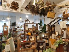 -知物癖(牛王庙店)