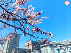 -吉林大学(南岭校区)