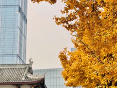 -古大圣慈寺