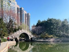 -团结湖公园