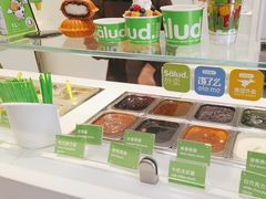 -Salud撒露欧洲冻酸奶(蓝色港湾店)