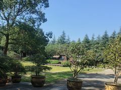 -陶祖圣境风景区