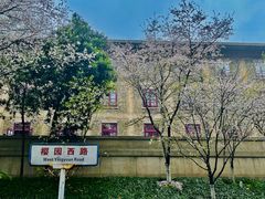 -武汉大学-樱园