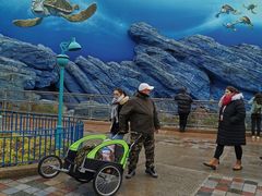 -巴黎迪士尼乐园