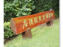 -天目湖御水温泉·度假酒店